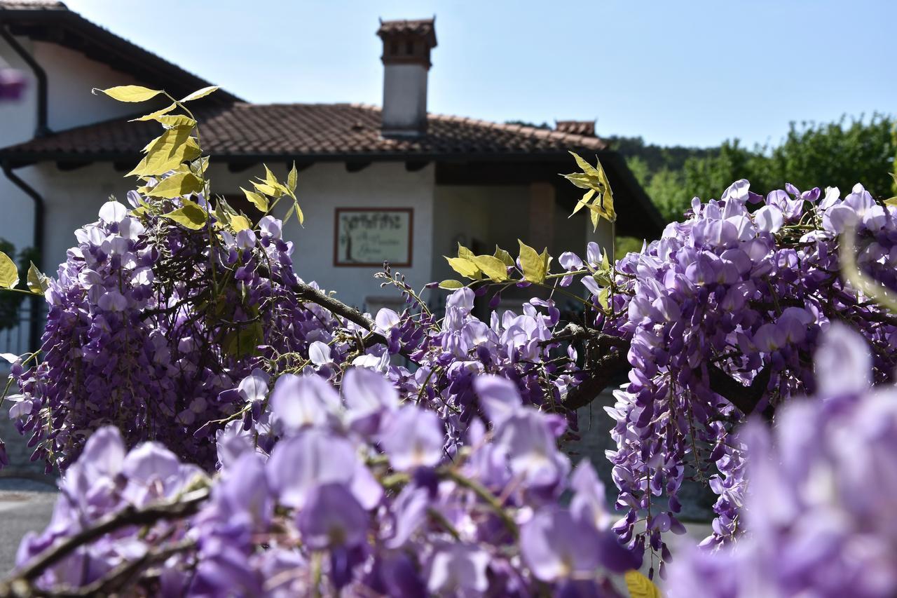 Al Vecchio Glicine Bed and Breakfast Gábria Eksteriør billede